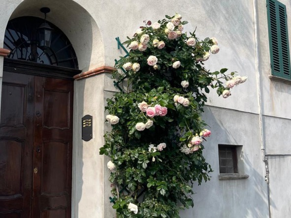 appartamento in vendita a Saluzzo