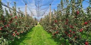 terreno agricolo in vendita a Saluzzo