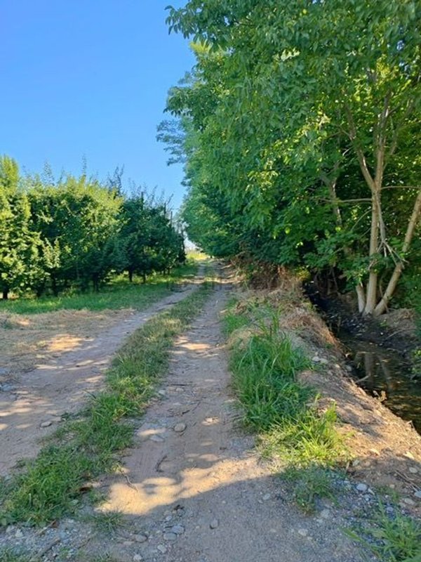 terreno agricolo in vendita a Saluzzo