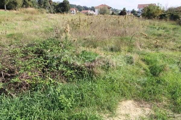 terreno agricolo in vendita a Sanfrè