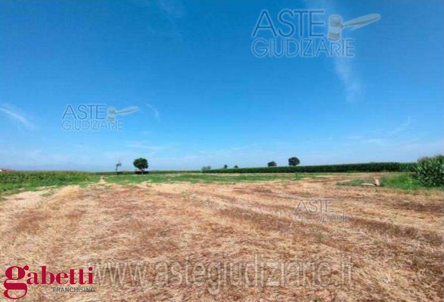 terreno agricolo in vendita a Sant'Albano Stura