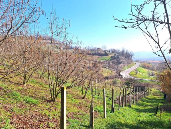 terreno agricolo in vendita a Santa Vittoria d'Alba in zona Cinzano