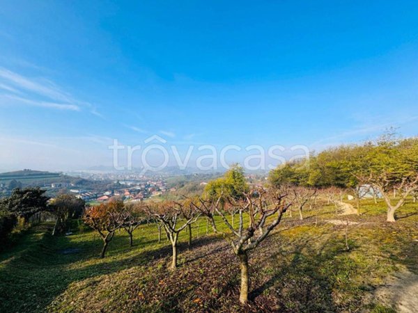 terreno agricolo in vendita a Santa Vittoria d'Alba