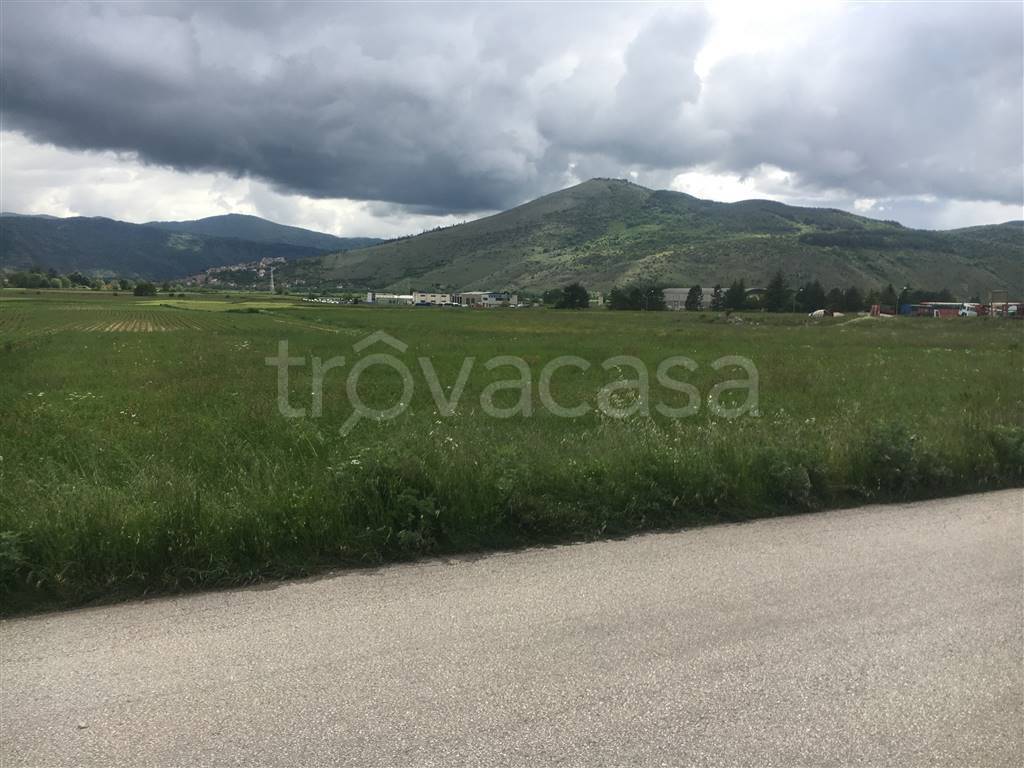 terreno agricolo in vendita a Santa Vittoria d'Alba in zona Cinzano