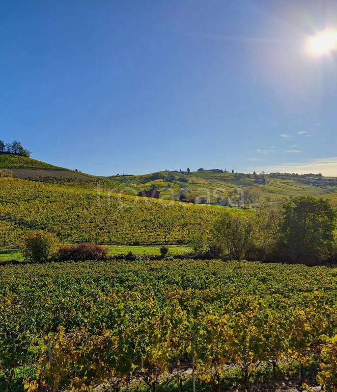terreno agricolo in vendita a Santo Stefano Belbo