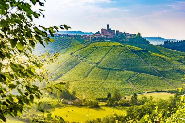 terreno agricolo in vendita a Santo Stefano Belbo