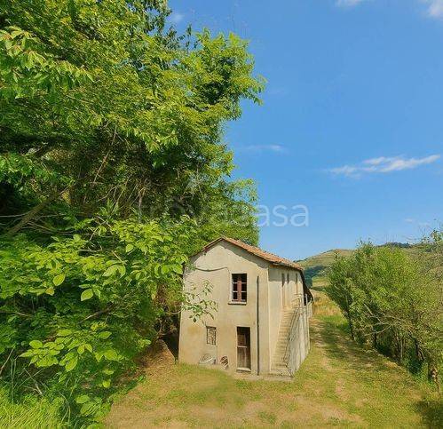 immagine annuncio 0 di 15