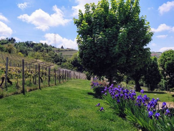 casale in vendita a Santo Stefano Belbo