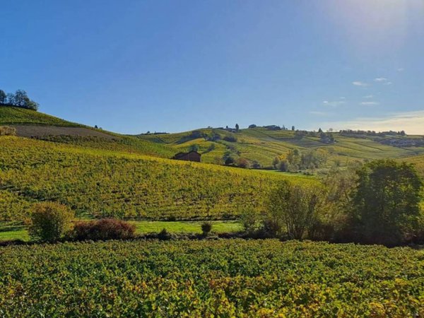 terreno agricolo in vendita a Santo Stefano Belbo
