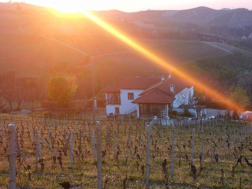 casa indipendente in vendita a Santo Stefano Belbo in zona Camo