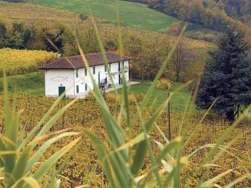 casale in vendita a Santo Stefano Belbo