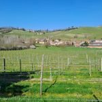 casale in vendita a Santo Stefano Belbo