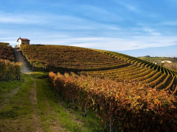 casa indipendente in vendita a Santo Stefano Belbo