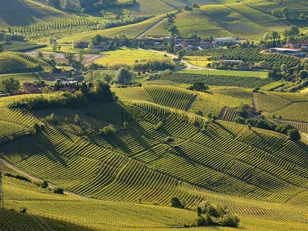 casale in vendita a Santo Stefano Belbo