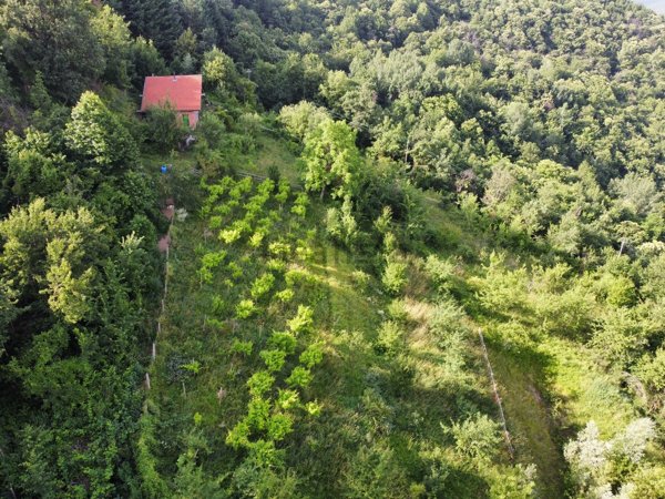 casa indipendente in vendita a Scagnello