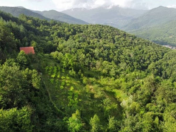 casa indipendente in vendita a Scagnello