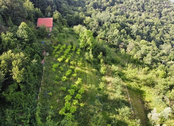 casa indipendente in vendita a Scagnello