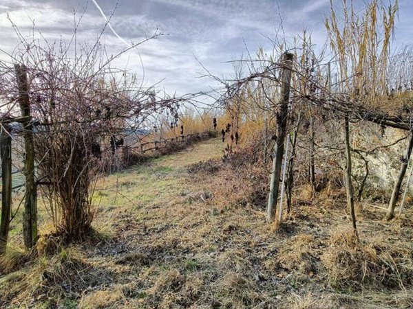 casa indipendente in vendita a Serralunga d'Alba