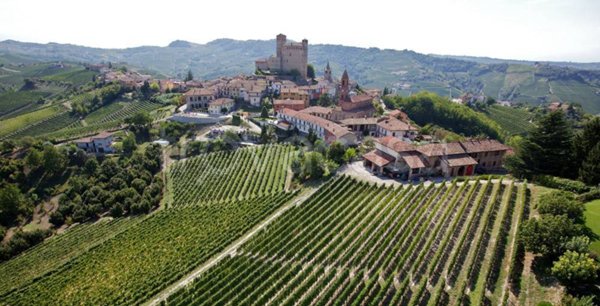 terreno agricolo in vendita a Serralunga d'Alba