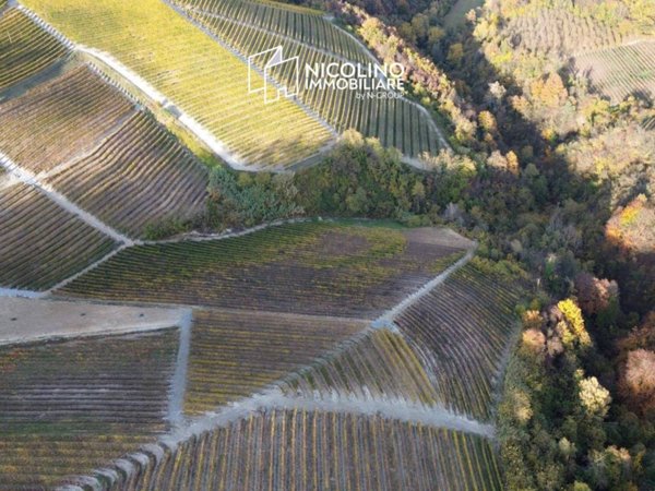 terreno agricolo in vendita a Serralunga d'Alba