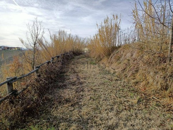 casa indipendente in vendita a Serralunga d'Alba