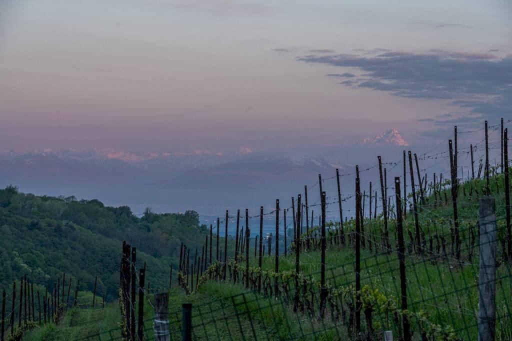 casa indipendente in vendita a Serravalle Langhe