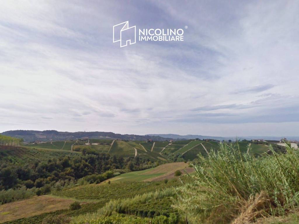 terreno agricolo in vendita a Sinio