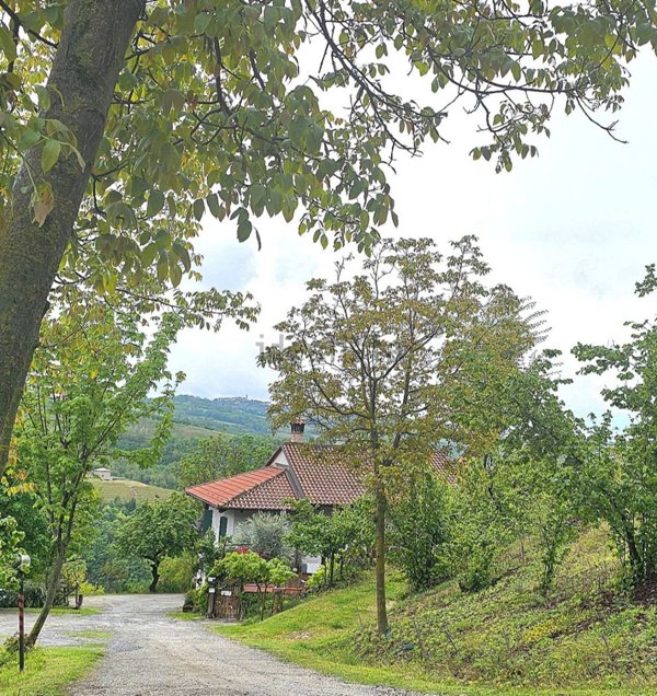 esavano in vendita a Sinio