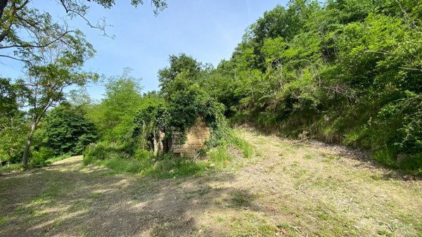 pentavano in vendita a Somano