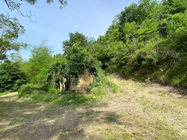 pentavano in vendita a Somano