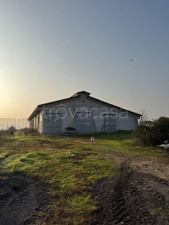 locale commerciale in vendita a Sommariva del Bosco in zona Grangia