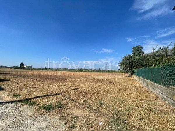 terreno agricolo in vendita a Sommariva del Bosco