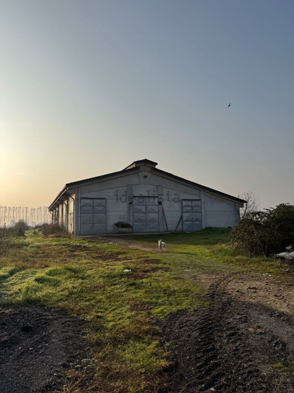 locale di sgombero in vendita a Sommariva del Bosco in zona Grangia