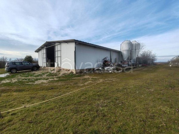 capannone in vendita a Sommariva del Bosco in zona Paolorio