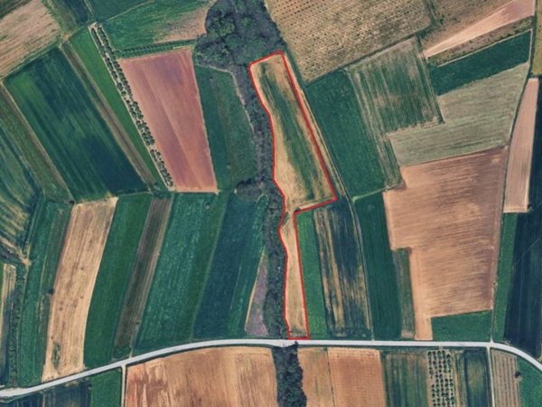 terreno agricolo in vendita a Sommariva del Bosco