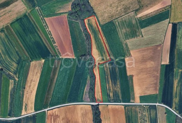 terreno agricolo in vendita a Sommariva del Bosco