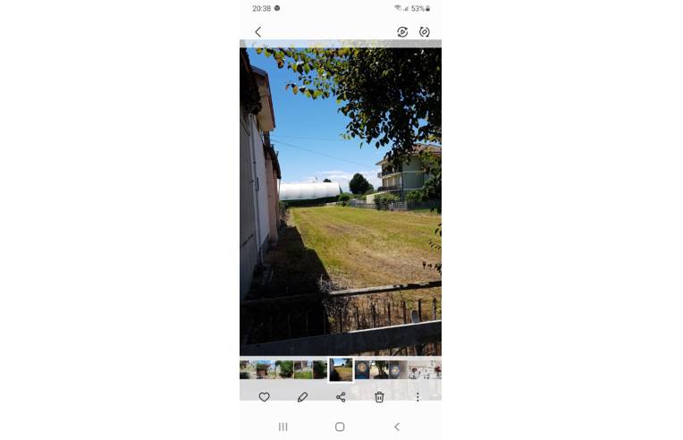 terreno agricolo in vendita a Sommariva del Bosco