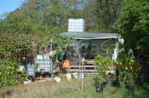 terreno agricolo in vendita a Sommariva del Bosco