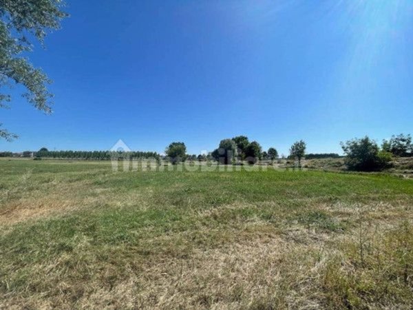 terreno in vendita a Sommariva del Bosco