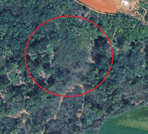 terreno in vendita a Sommariva del Bosco