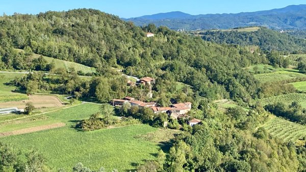 esavano in vendita a Torresina