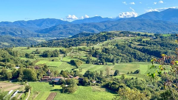 esavano in vendita a Torresina