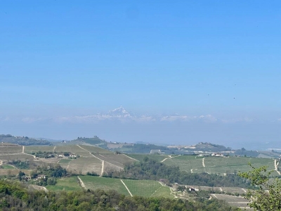 casa indipendente in vendita a Treiso