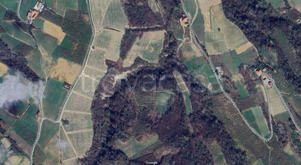 terreno agricolo in vendita a Trezzo Tinella