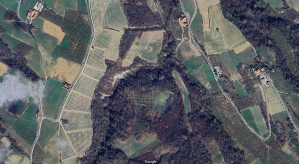 terreno agricolo in vendita a Trezzo Tinella