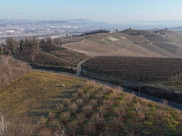 terreno agricolo in vendita a Verduno