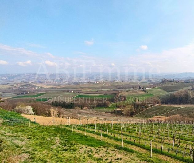 casa indipendente in vendita a Verduno