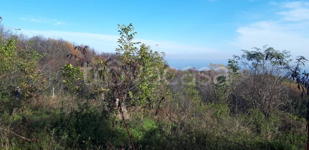 terreno agricolo in vendita a Verzuolo in zona San Bernardo