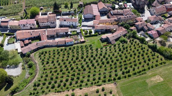 terreno agricolo in vendita a Verzuolo