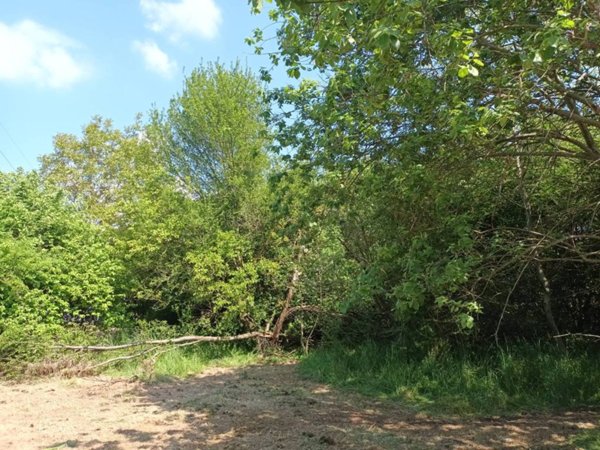 terreno agricolo in vendita a Vicoforte